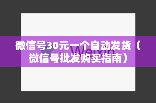 微信号30元一个自动发货（微信号批发购买指南）