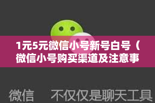 1元5元微信小号新号白号（微信小号购买渠道及注意事项）