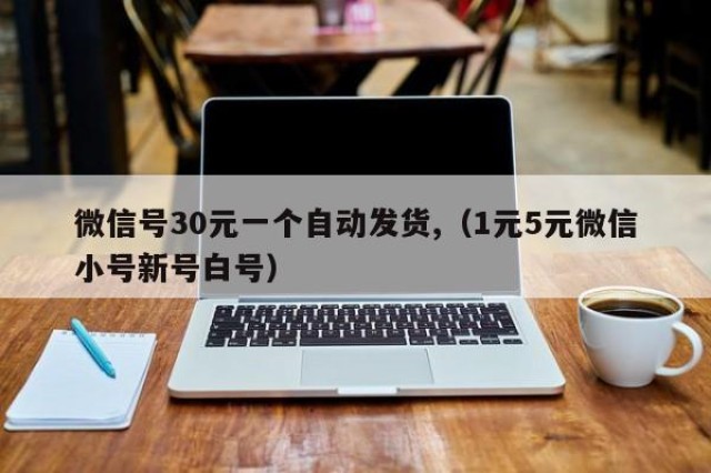 微信号30元一个自动发货,（1元5元微信小号新号白号）