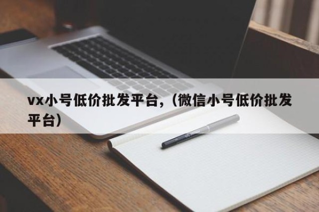 vx小号低价批发平台,（微信小号低价批发平台）